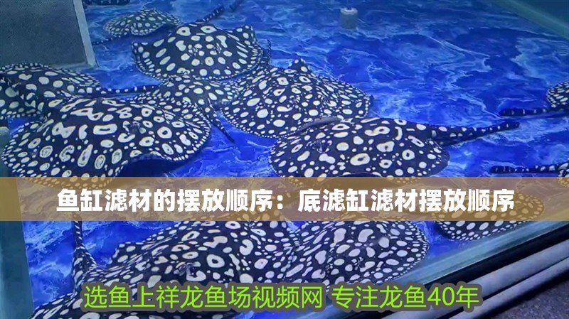 魚缸濾材的擺放順序：底濾缸濾材擺放順序