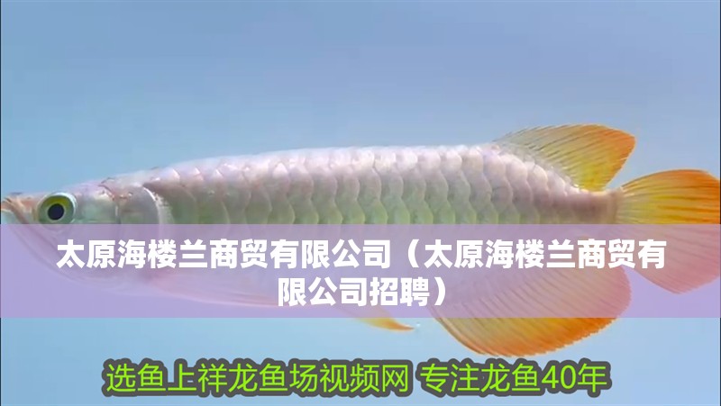 太原海樓蘭商貿有限公司（太原海樓蘭商貿有限公司招聘）