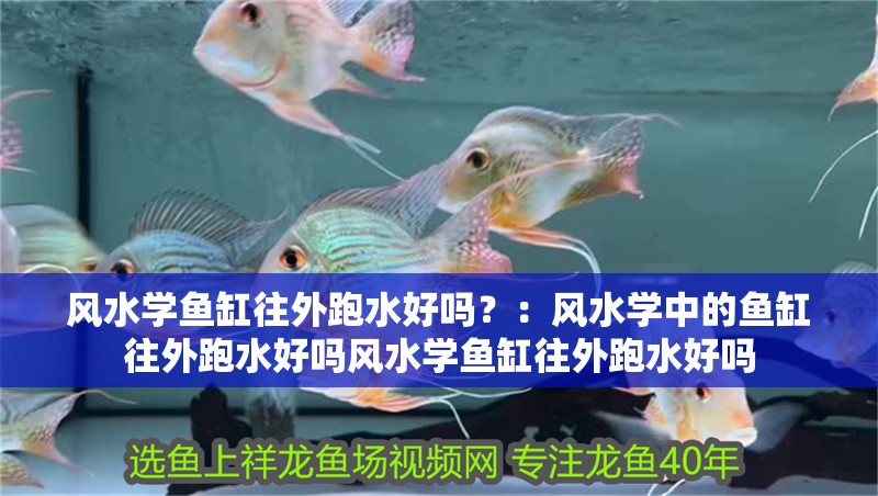 風水學魚缸往外跑水好嗎？：風水學中的魚缸往外跑水好嗎風水學魚缸往外跑水好嗎
