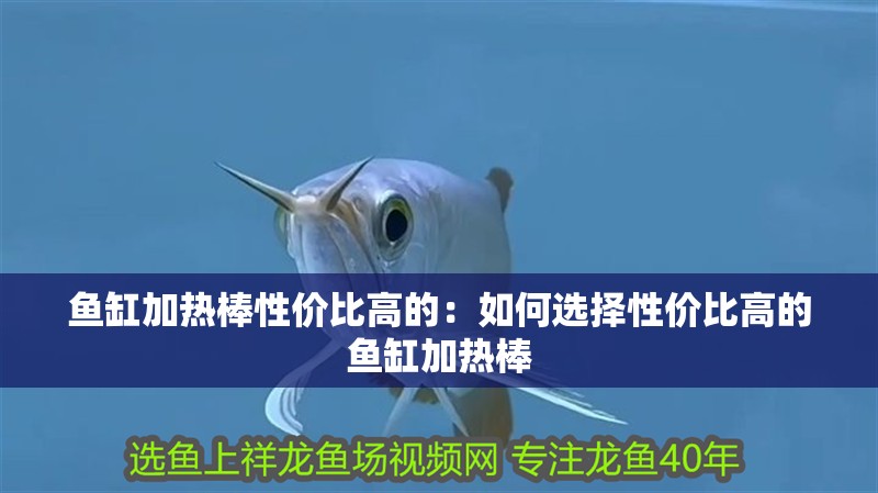 魚缸加熱棒性價比高的：如何選擇性價比高的魚缸加熱棒