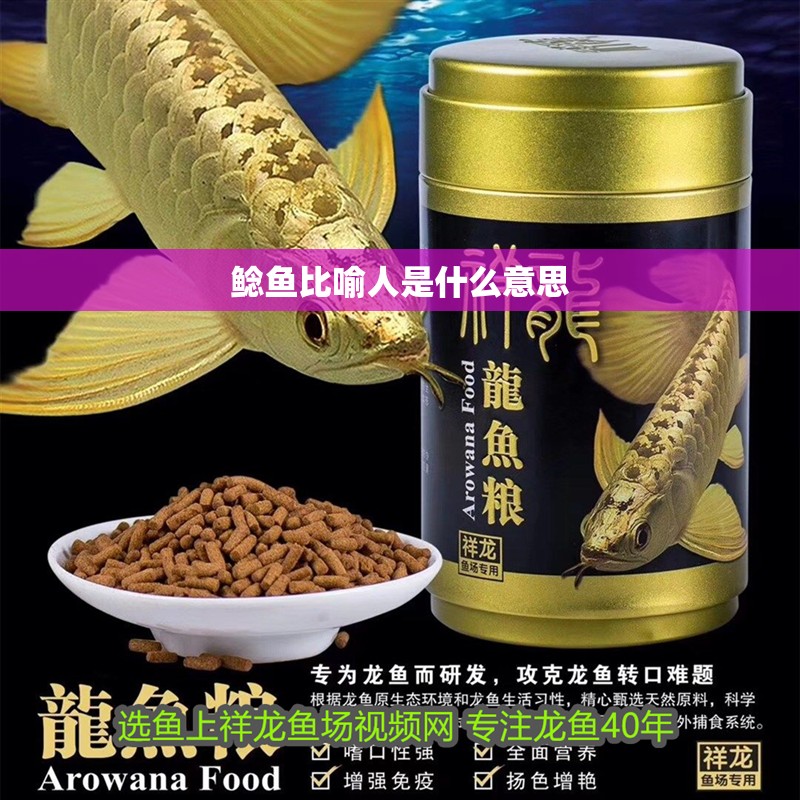 鯰魚比喻人是什么意思