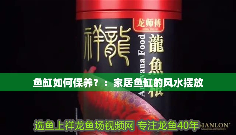 魚缸如何保養(yǎng)？：家居魚缸的風(fēng)水?dāng)[放