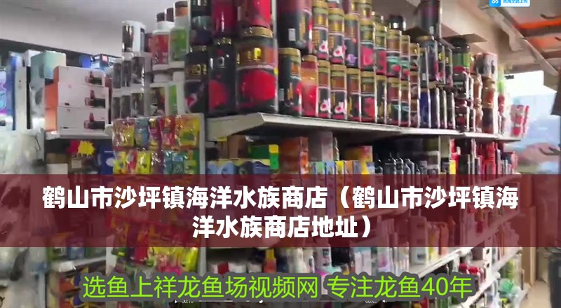 鶴山市沙坪鎮(zhèn)海洋水族商店（鶴山市沙坪鎮(zhèn)海洋水族商店地址）