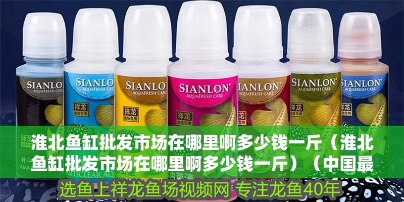 淮北魚缸批發(fā)市場在哪里啊多少錢一斤（淮北魚缸批發(fā)市場在哪里啊多少錢一斤）（中國最大的魚缸批發(fā)市場）