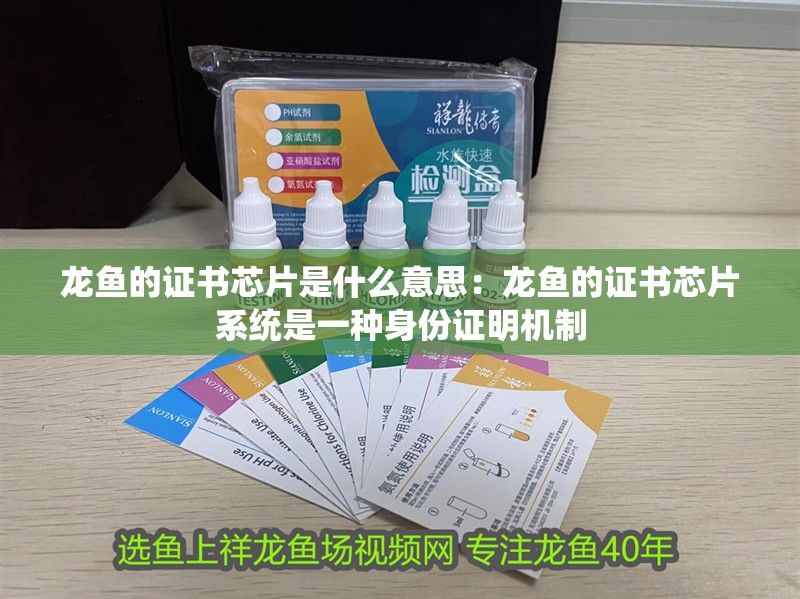 龍魚(yú)的證書(shū)芯片是什么意思：龍魚(yú)的證書(shū)芯片系統(tǒng)是一種身份證明機(jī)制