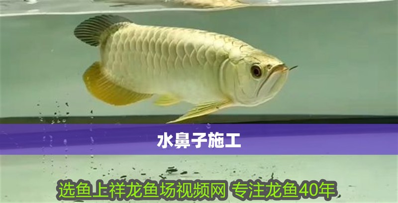 水鼻子施工