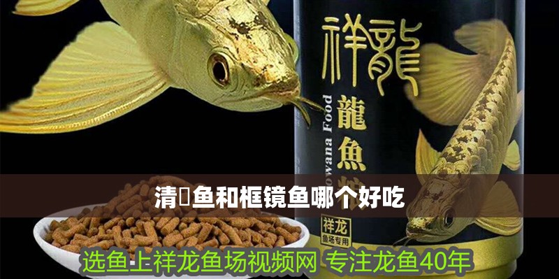 清鮰魚和框鏡魚哪個好吃