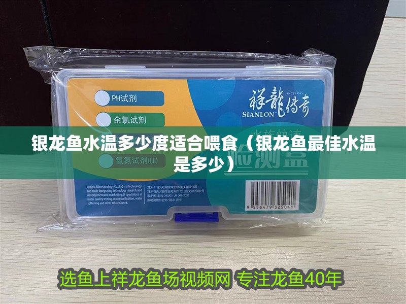 銀龍魚水溫多少度適合喂食（銀龍魚最佳水溫是多少）