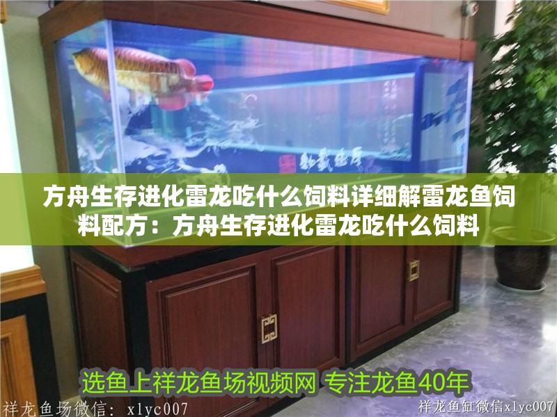 方舟生存進(jìn)化雷龍吃什么飼料詳細(xì)解雷龍魚飼料配方：方舟生存進(jìn)化雷龍吃什么飼料