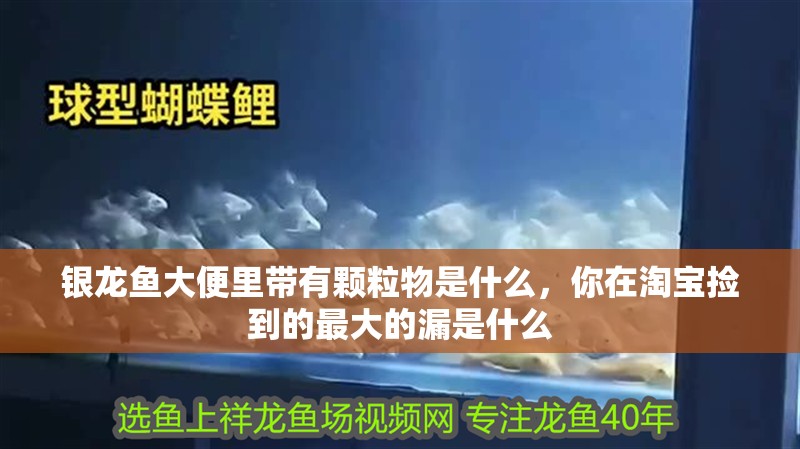 銀龍魚大便里帶有顆粒物是什么，你在淘寶撿到的最大的漏是什么