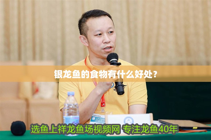 銀龍魚的食物有什么好處？
