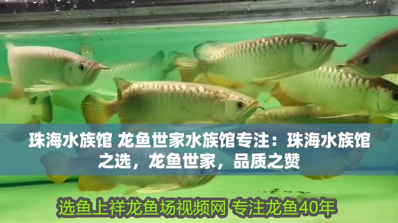 珠海水族館 龍魚(yú)世家水族館專(zhuān)注：珠海水族館之選，龍魚(yú)世家，品質(zhì)之贊