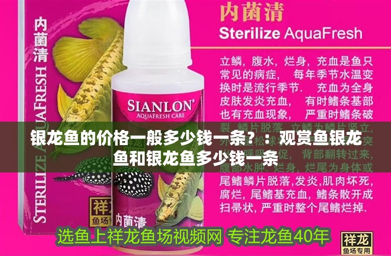 銀龍魚的價格一般多少錢一條？：觀賞魚銀龍魚和銀龍魚多少錢一條