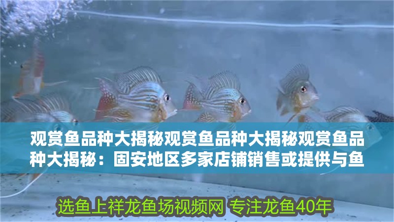 觀賞魚品種大揭秘觀賞魚品種大揭秘觀賞魚品種大揭秘：<strong><mark>固安</mark></strong>地區(qū)多家店鋪銷售或提供與魚缸相關(guān)產(chǎn)品和服務