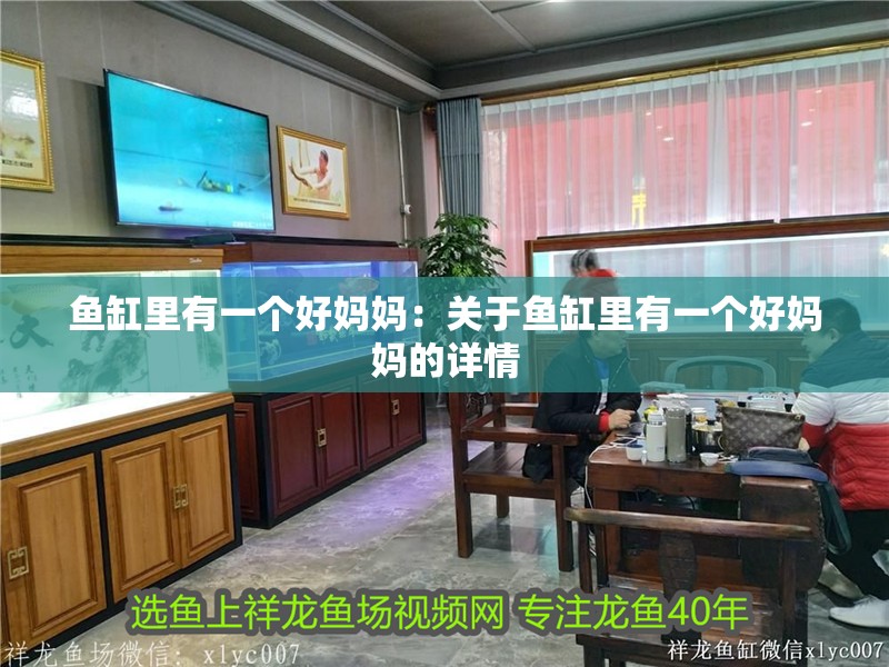 魚缸里有一個好媽媽：關于魚缸里有一個好媽媽的詳情
