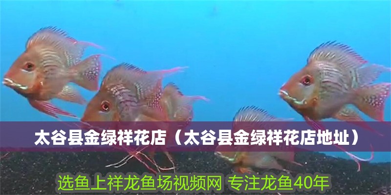 太谷縣金綠祥花店（太谷縣金綠祥花店地址）