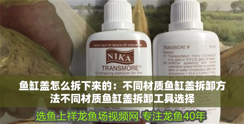 魚缸蓋怎么拆下來的：不同材質魚缸蓋拆卸方法不同材質魚缸蓋拆卸工具選擇