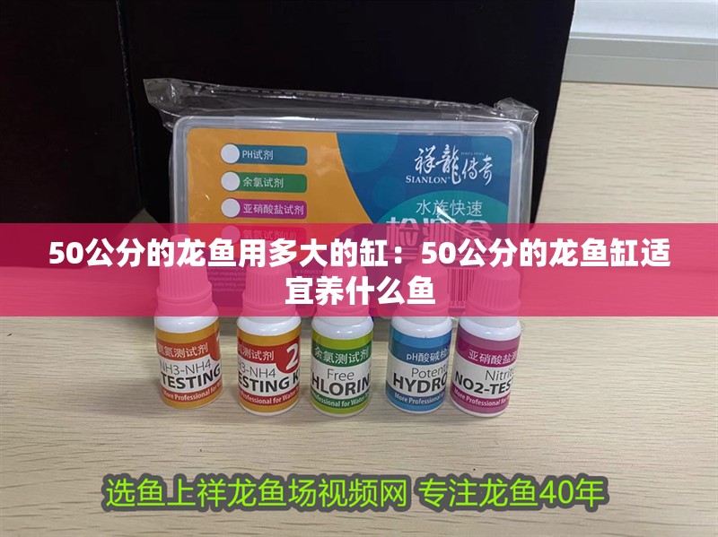 50公分的龍魚用多大的缸：50公分的龍魚缸適宜養(yǎng)什么魚