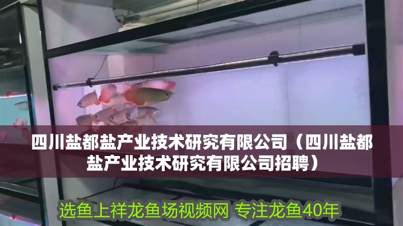 四川鹽都鹽產業技術研究有限公司（四川鹽都鹽產業技術研究有限公司招聘）