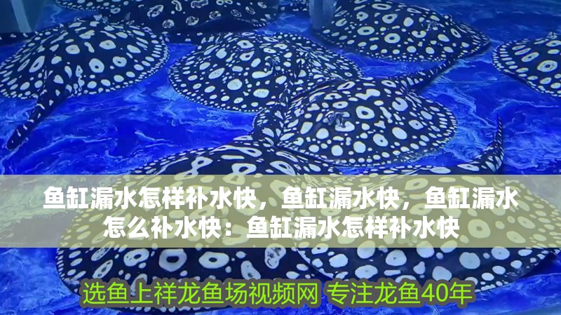 魚缸漏水怎樣補水快，魚缸漏水快，魚缸漏水怎么補水快：魚缸漏水怎樣補水快