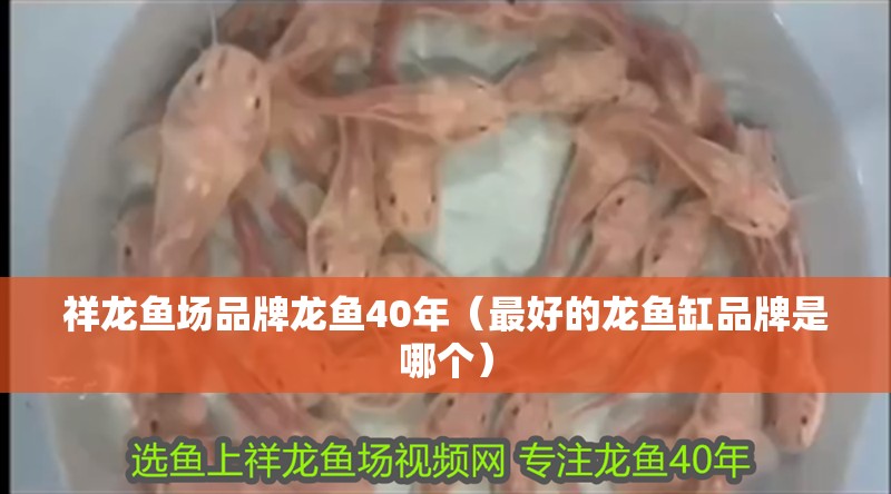 祥龍魚場(chǎng)品牌龍魚40年（最好的龍魚缸品牌是哪個(gè)）