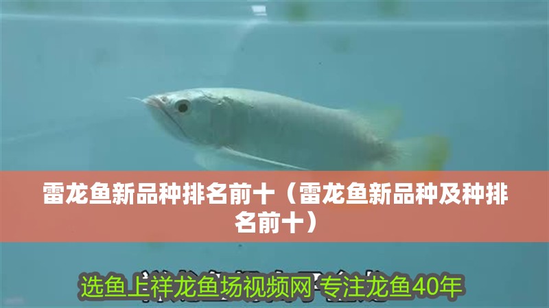 雷龍魚新品種排名前十（雷龍魚新品種及種排名前十）
