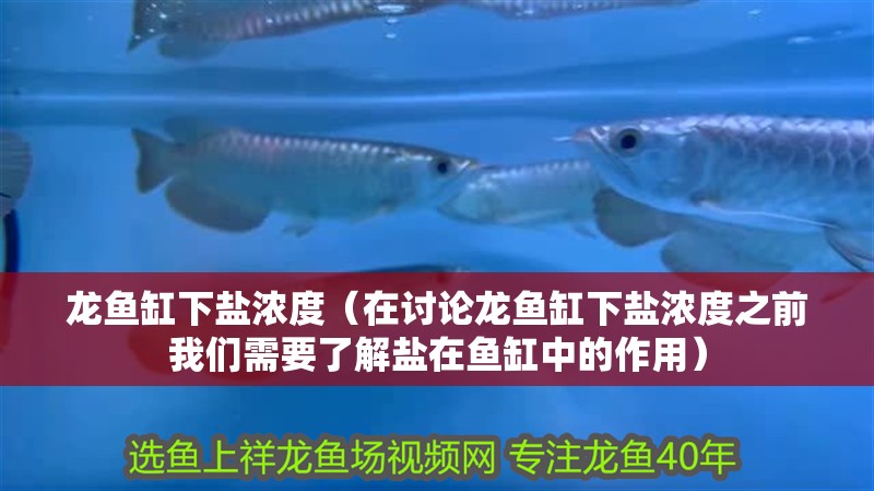 龍魚缸下鹽濃度（在討論龍魚缸下鹽濃度之前我們需要了解鹽在魚缸中的作用）