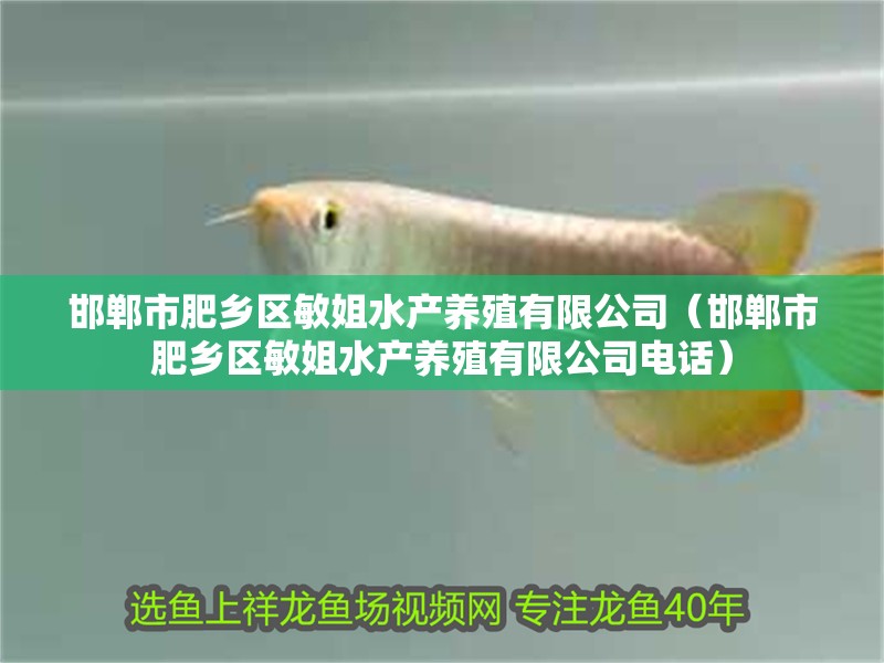 邯鄲市肥鄉(xiāng)區(qū)敏姐水產(chǎn)養(yǎng)殖有限公司（邯鄲市肥鄉(xiāng)區(qū)敏姐水產(chǎn)養(yǎng)殖有限公司電話）