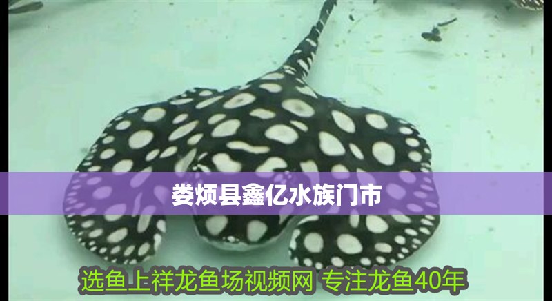婁煩縣鑫億水族門市