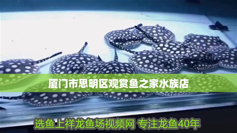 廈門市思明區觀賞魚之家水族店