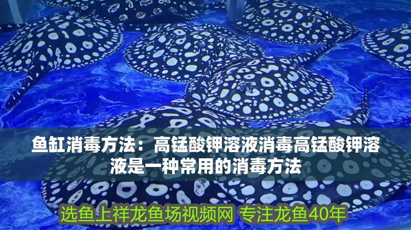 魚缸消毒方法：高錳酸鉀溶液消毒高錳酸鉀溶液是一種常用的消毒方法