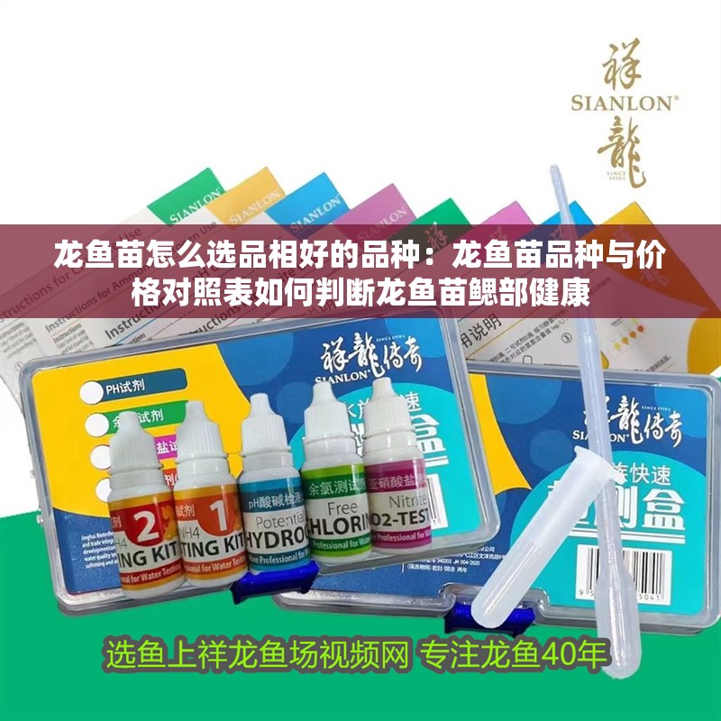 龍魚苗怎么選品相好的品種：龍魚苗品種與價格對照表如何判斷龍魚苗鰓部健康