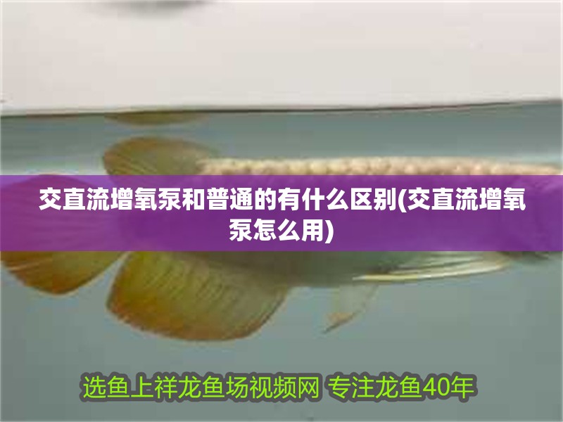 交直流增氧泵和普通的有什么區別(交直流增氧泵怎么用)