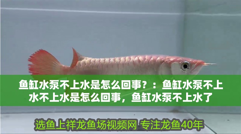 魚缸水泵不上水是怎么回事？：魚缸水泵不上水不上水是怎么回事，魚缸水泵不上水了