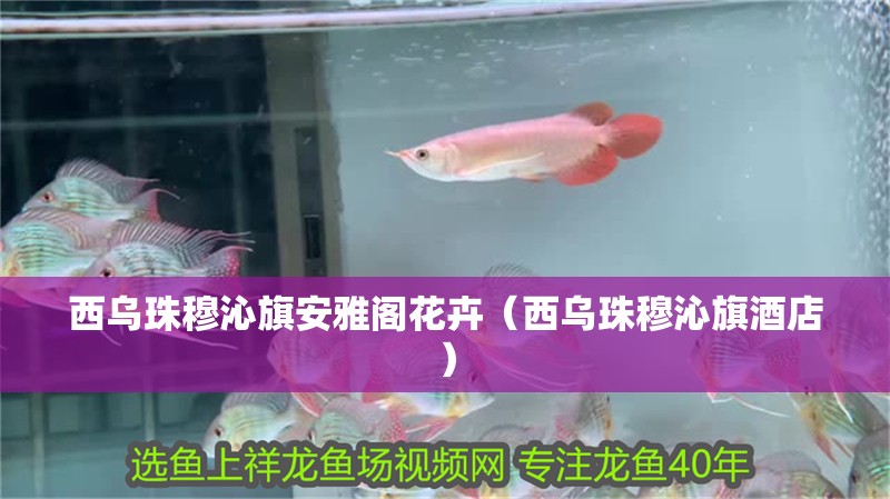 西烏珠穆沁旗安雅閣花卉（西烏珠穆沁旗酒店）