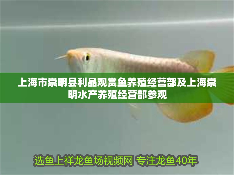 上海市崇明縣利品觀賞魚養(yǎng)殖經(jīng)營部及上海崇明水產(chǎn)養(yǎng)殖經(jīng)營部參觀