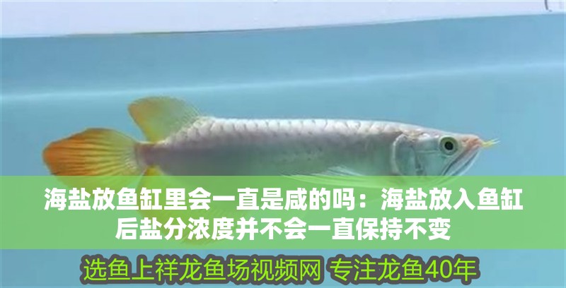 海鹽放魚缸里會一直是咸的嗎：海鹽放入魚缸后鹽分濃度并不會一直保持不變