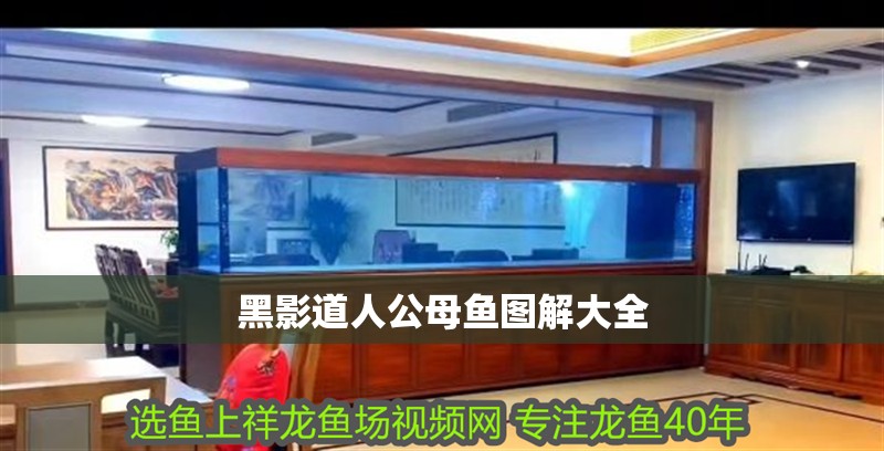 黑影道人公母魚圖解大全