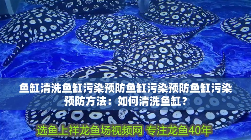魚缸清洗魚缸污染預防魚缸污染預防魚缸污染預防方法：如何清洗魚缸？