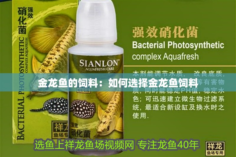 金龍魚的飼料：如何選擇金龍魚飼料
