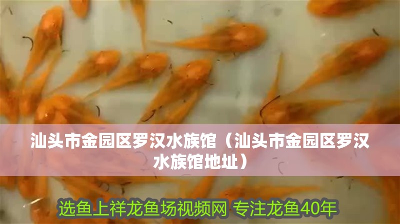 汕頭市金園區羅漢水族館（汕頭市金園區羅漢水族館地址）