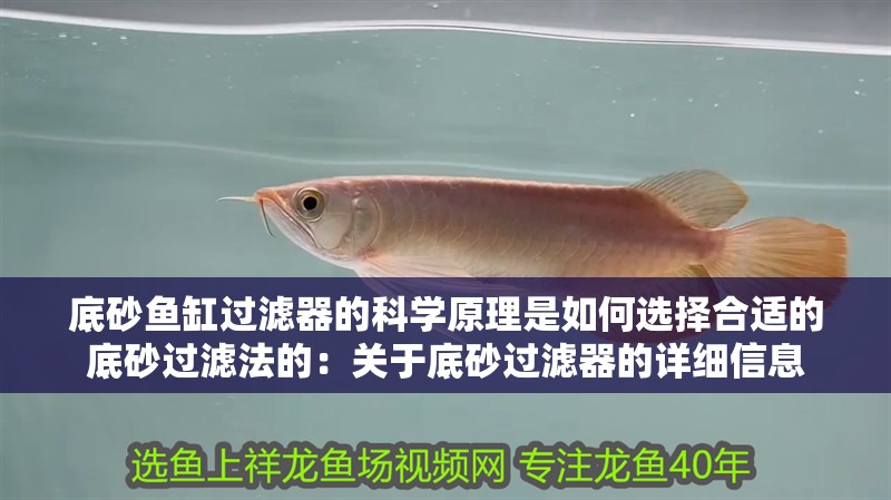底砂魚缸過濾器的科學原理是如何選擇合適的底砂過濾法的：關于底砂過濾器的詳細信息