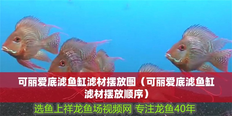 可麗愛底濾魚缸濾材擺放圖（可麗愛底濾魚缸濾材擺放順序）