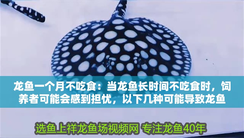 龍魚一個月不吃食：當龍魚長時間不吃食時，飼養者可能會感到擔憂，以下幾種可能導致龍魚拒食
