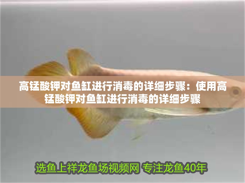 高錳酸鉀對魚缸進行消毒的詳細步驟：使用高錳酸鉀對魚缸進行消毒的詳細步驟