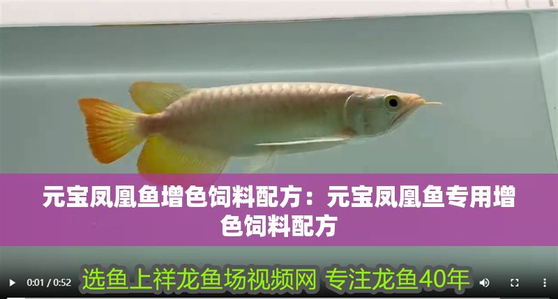 元寶鳳凰魚增色飼料配方：元寶鳳凰魚專用增色飼料配方