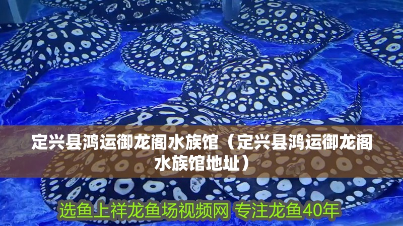 定興縣鴻運御龍閣水族館（定興縣鴻運御龍閣水族館地址） 定興縣鴻運御龍閣水族館（定興縣鴻運御龍閣水族館地址） 全國水族館企業名錄
