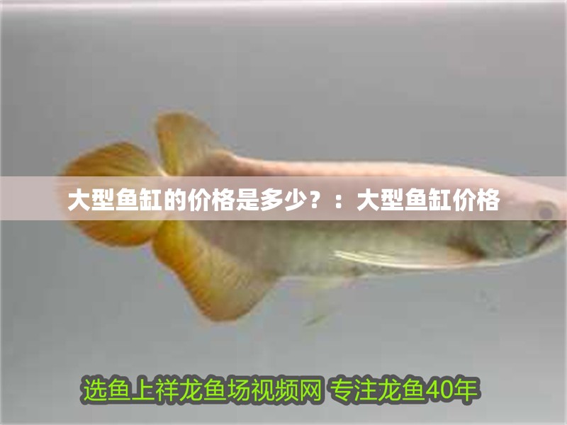 大型魚缸的價格是多少？：大型魚缸價格