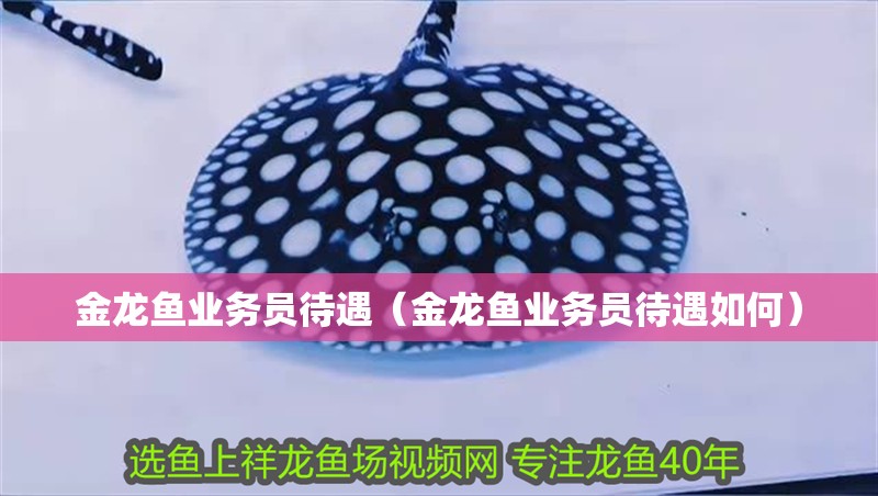 給大魚缸換水的作文:體驗給大魚缸換水的樂趣:體驗給大魚缸換水:給大魚缸換水的作文 金龍魚業務員待遇(金龍魚業務員待遇如何) 龍魚百科 金龍魚業務員待遇(金龍魚業務員待遇如何) 金龍魚業務員待遇(金龍魚業務員待遇如何) 龍魚百科