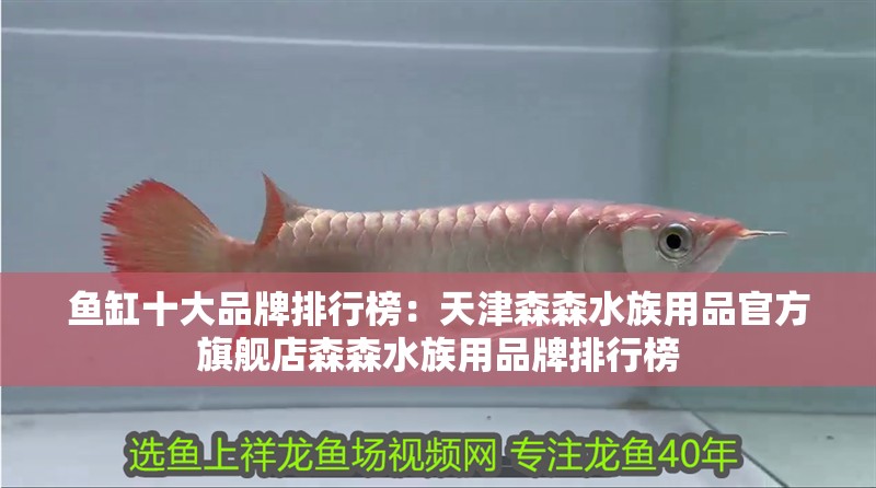 魚缸十大品牌排行榜：天津森森水族用品官方旗艦店森森水族用品牌排行榜